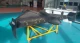 Shahed-238 drone, illustrative photo