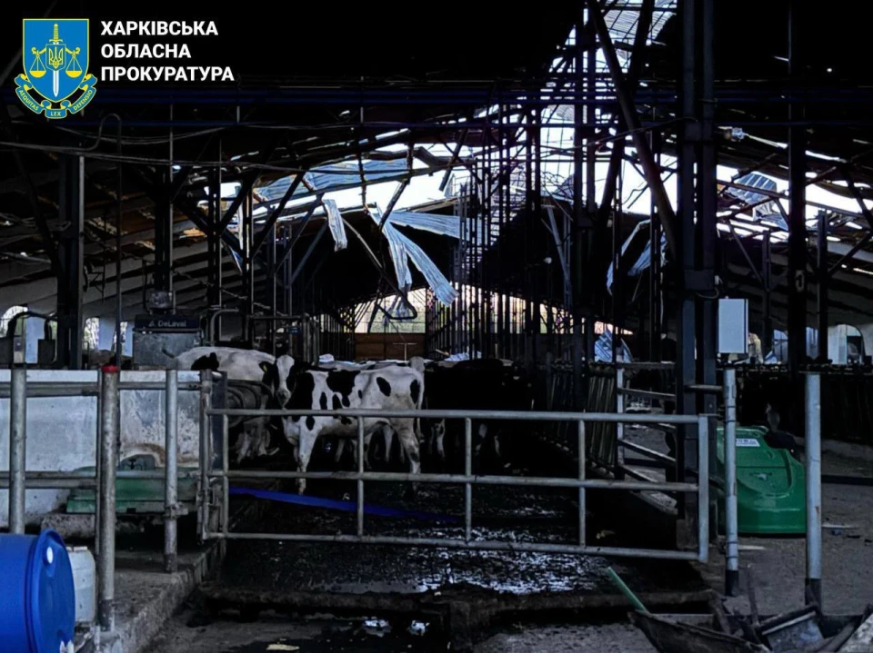 на фото наслідки обстрілу ферми на Харківщині