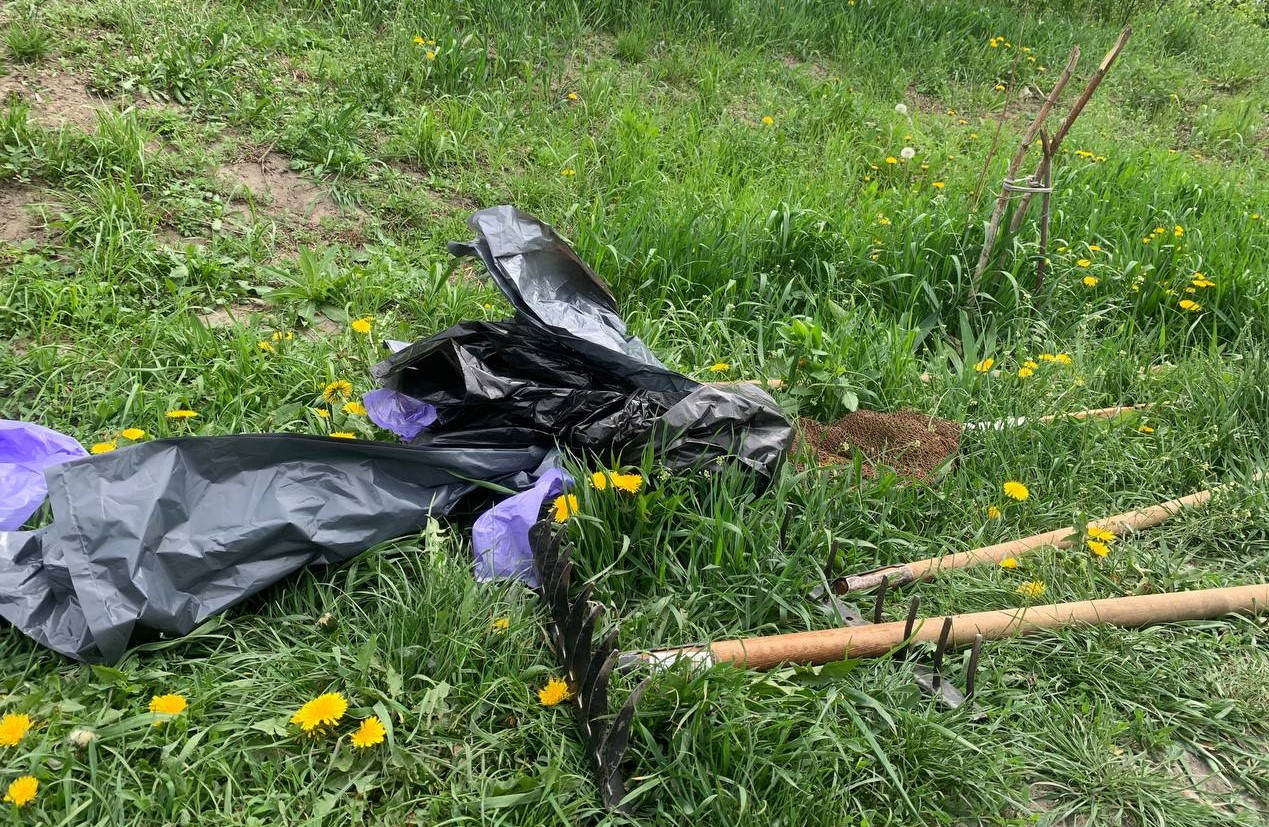 У Києві 18 квітня відбудеться загальноміська толока на 40 локаціях