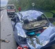 Негода на Прикарпатті повалила дерева