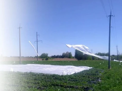 У Луцькому районі агроволокно знеструмило лінію електропередачі