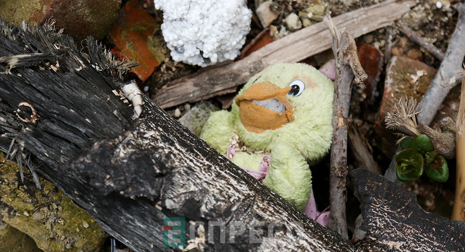 будинки у Львові на вул. Братів Міхновських, зруйновані російською атакою 4 вересня 2024 року