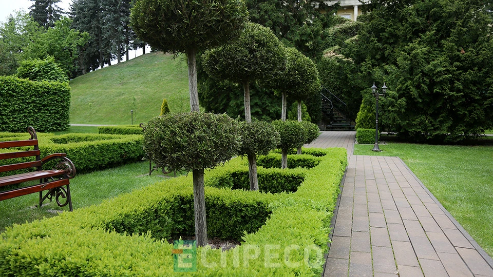 Митрополичі сади