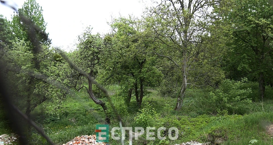 Митрополичі сади