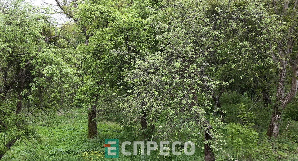 Митрополичі сади