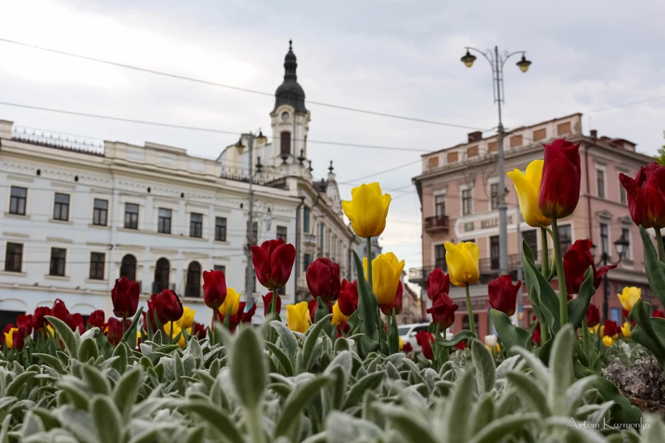 Чернівці