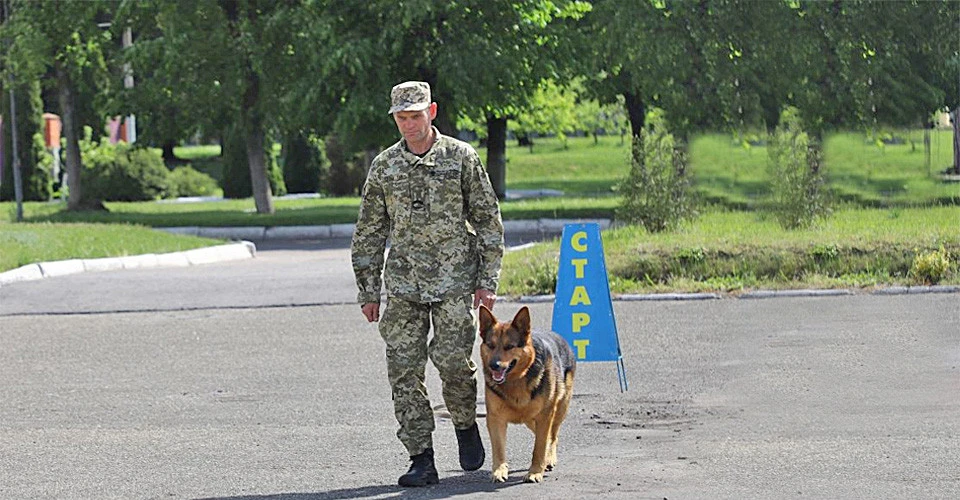 Прикордонники