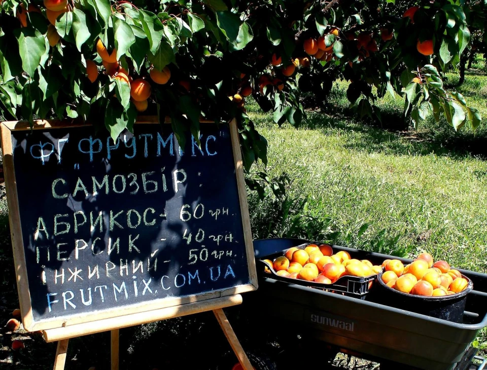 абрикоси