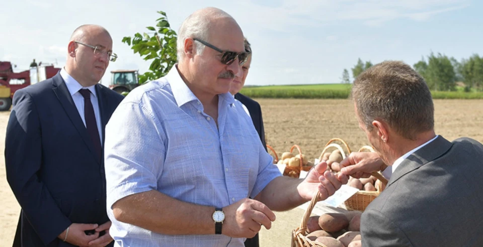 Лукашенко й картопля