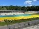 Національний рекорд: у Львові діти зі всієї України розгорнули найбільший прапор