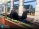 За $25 тис. обіцяла зняти з військового обліку: на Львівщині затримали 40-річну волинянку За $25 тис. обіцяла зняти з військового обліку: на Львівщині затримали 40-річну волинянку