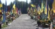 Марсове поле у Львові
