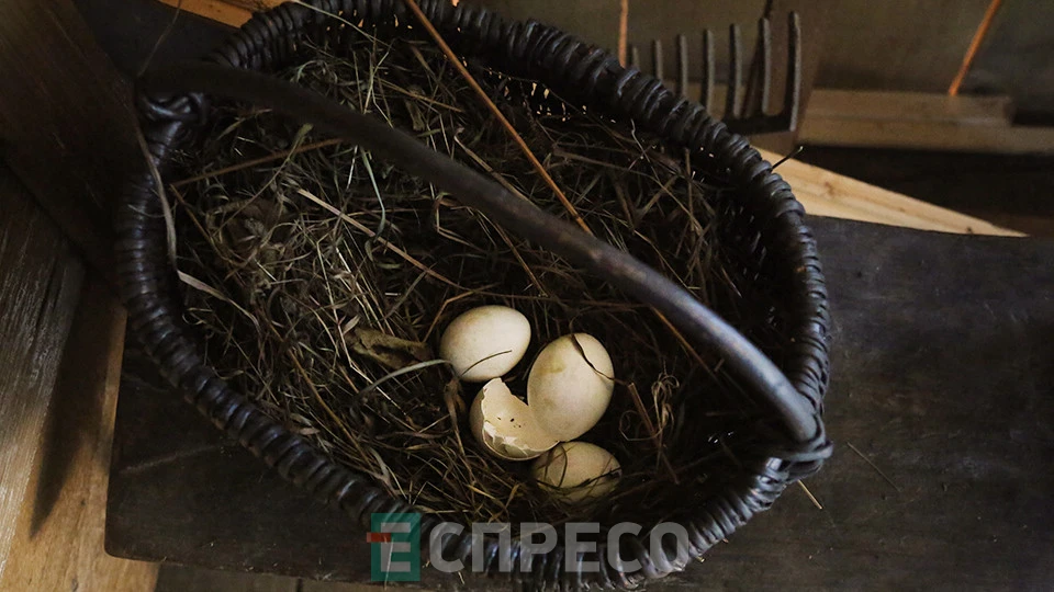 етнозона Полісся у Львівському скансені, Львів, Шевченківський гай