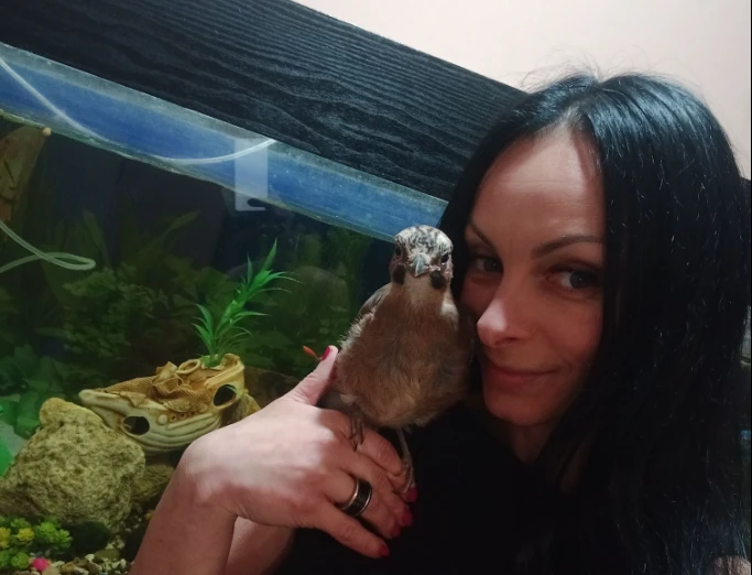 У Чернівцях врятували пташеня сокола, що застрягло над балконом багатоповерхівки