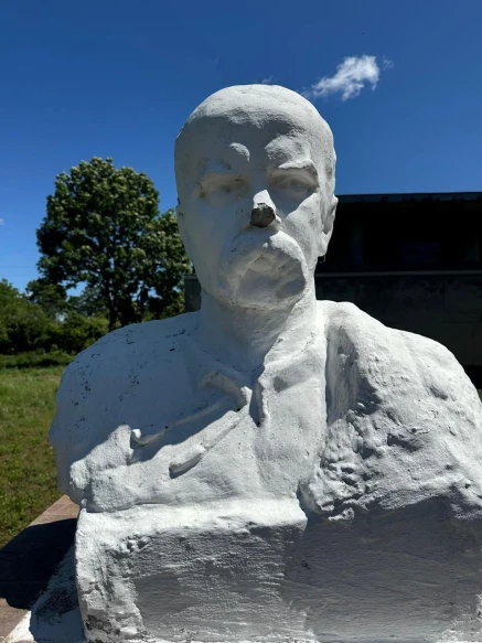 пошкоджені скульптури Матері Божої і Тараса Шевченка на Львівщині