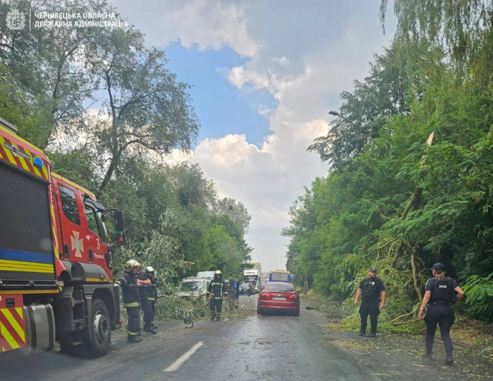 На Буковині через буревій пошкоджені будинки та повалені дерева, понад 32 тис. людей залишилися без світла