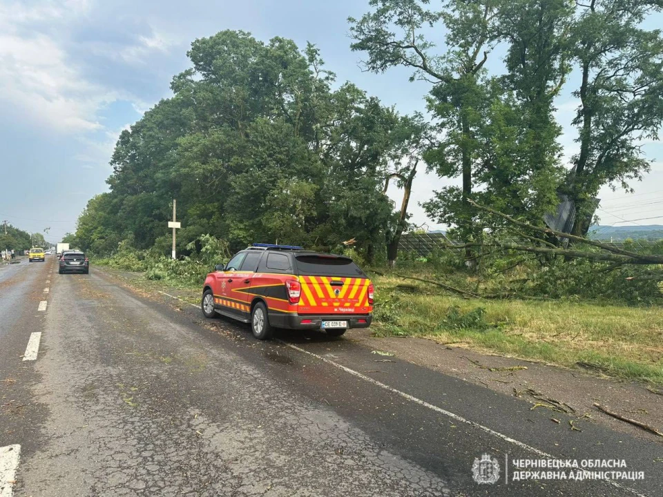 На Буковині через буревій пошкоджені будинки та повалені дерева, понад 32 тис. людей залишилися без світла