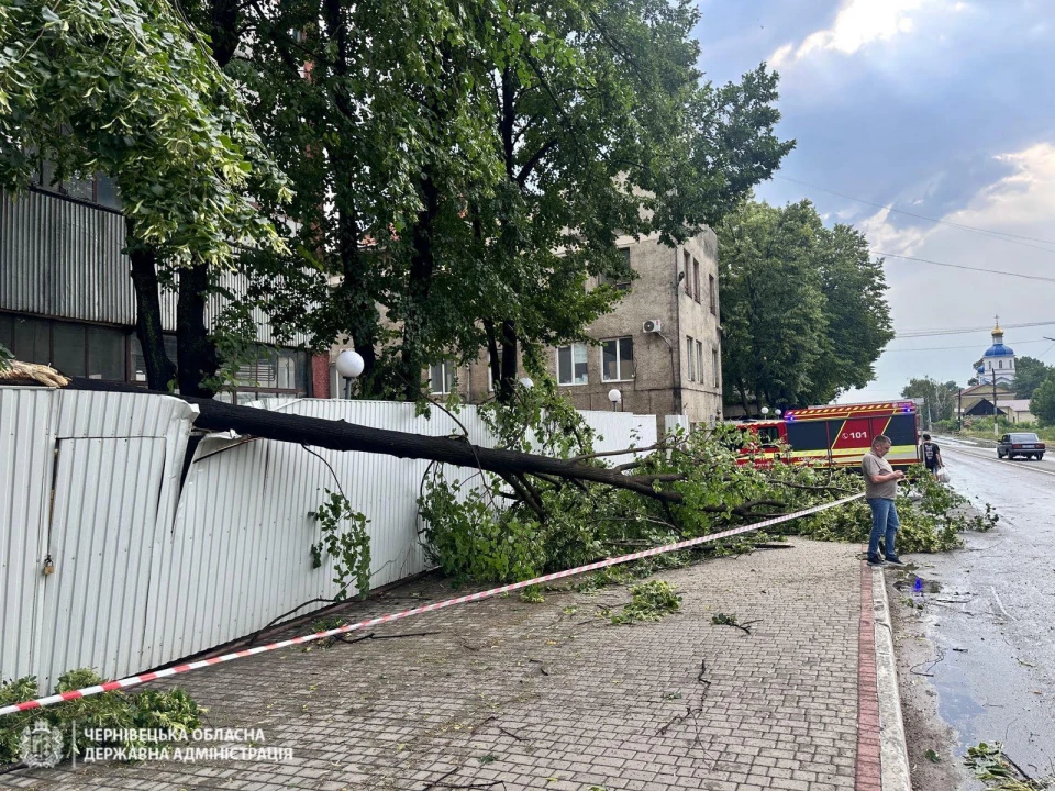 На Буковині через буревій пошкоджені будинки та повалені дерева, понад 32 тис. людей залишилися без світла