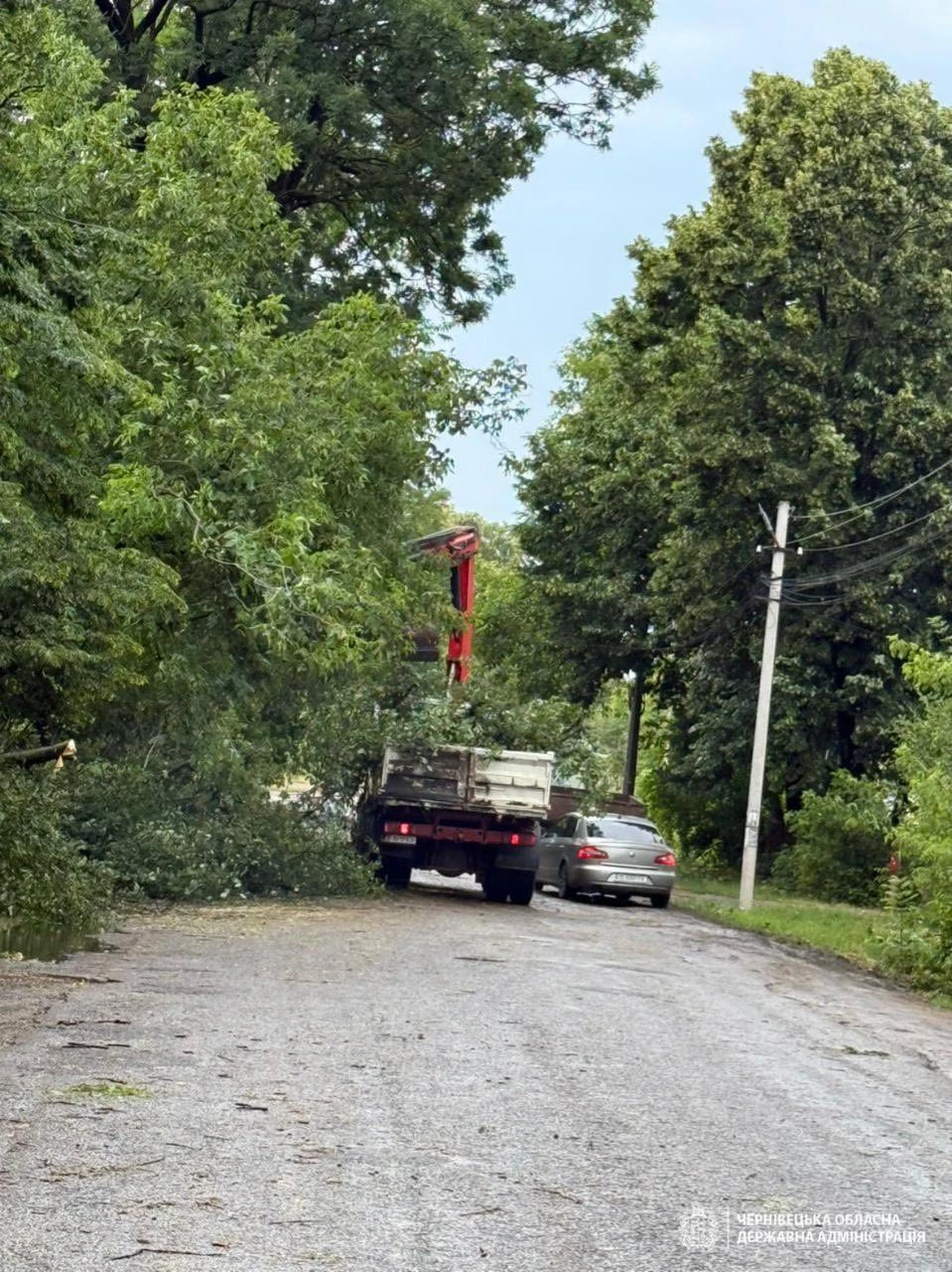 На Буковині через буревій пошкоджені будинки та повалені дерева, понад 32 тис. людей залишилися без світла