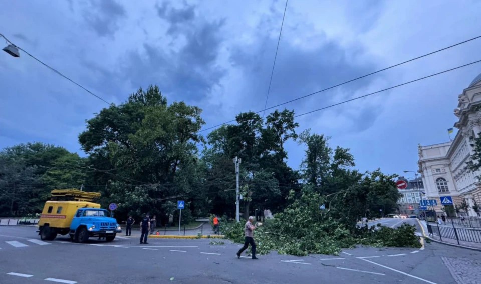 У Львові й на Львівщині вирує негода, сильний вітер повалив дерева