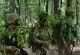 128 окрема гірсько-штурмова Закарпатська бригада