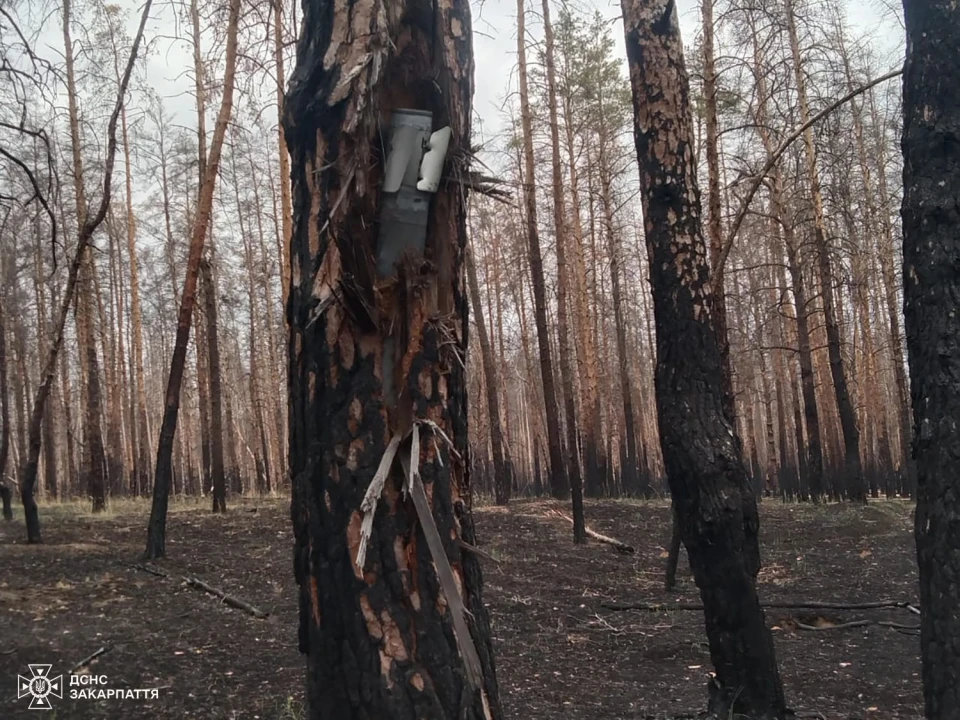 Водій-сапер із Закарпаття розміновує території Донеччини та Херсонщини