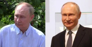 скотиняка, hyilo