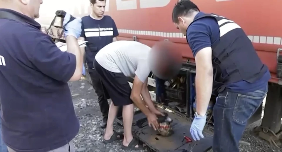 У Грузії затримали двох українців, які нібито перевозили гексоген