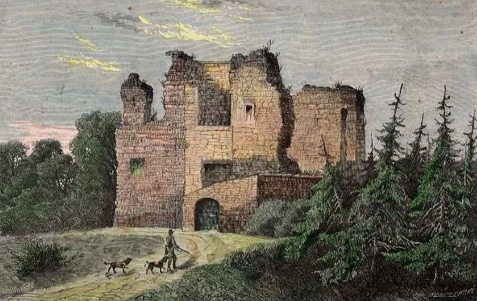 Панівецький замок