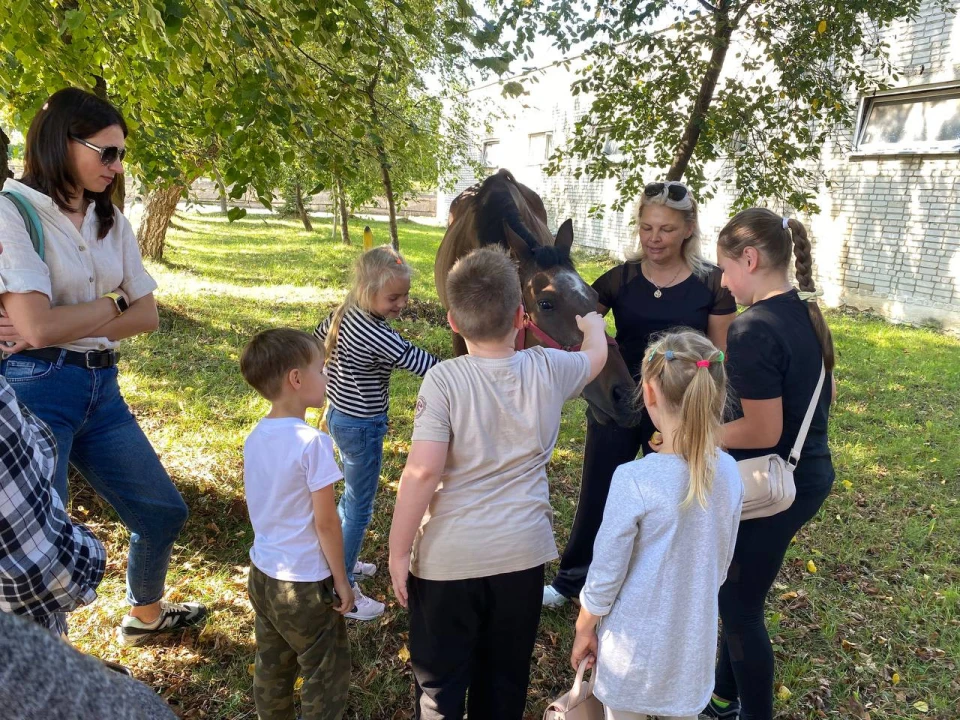 "Shelter Lviv" запрошує переселенців на безкоштовні групові активності й екскурсії