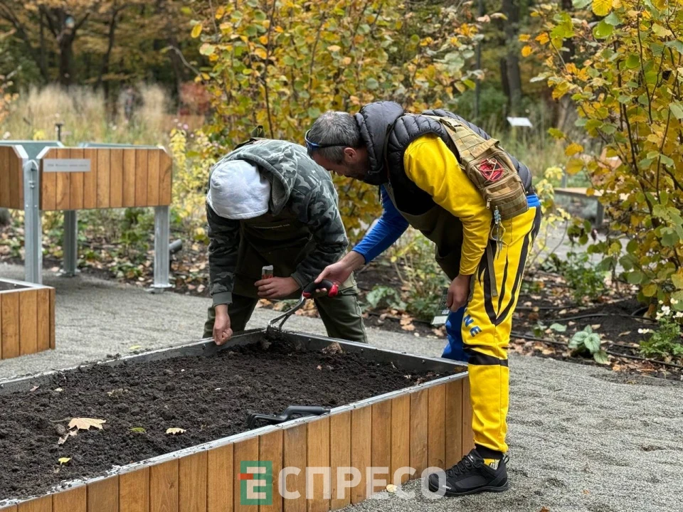 Терапевтичний сад, ВДНГ