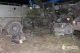 Неподалік Львова у ДТП загинули четверо військових: ДБР розслідує аварію