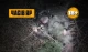 За тиждень у Часовому Яру воїни 24-ї бригади з дружніми підрозділами ліквідували 46 окупантів і майже 300 БПЛА