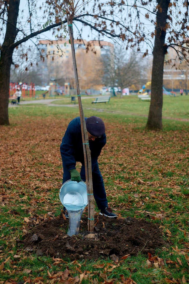 У Кам'янці-Подільському заклали Алею Праведників світу