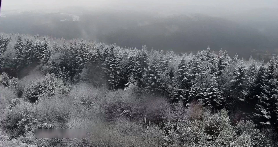 Зима на кордоні