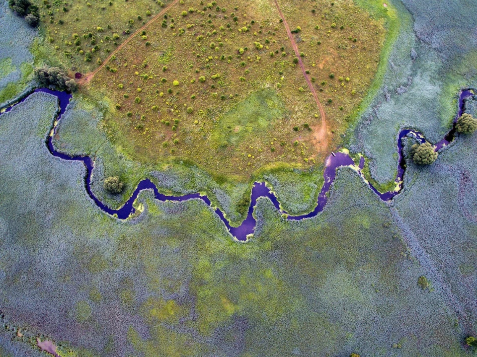 Рівне гідрологічний заказник