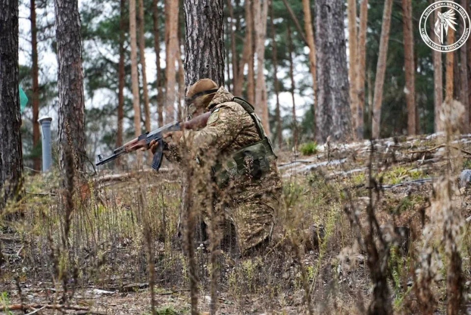 ЗСУ, Сили оборони