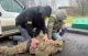 За $6 тис. показували "щілини" в кордоні: двох волинян викрили на організації схеми втечі ухилянтів
