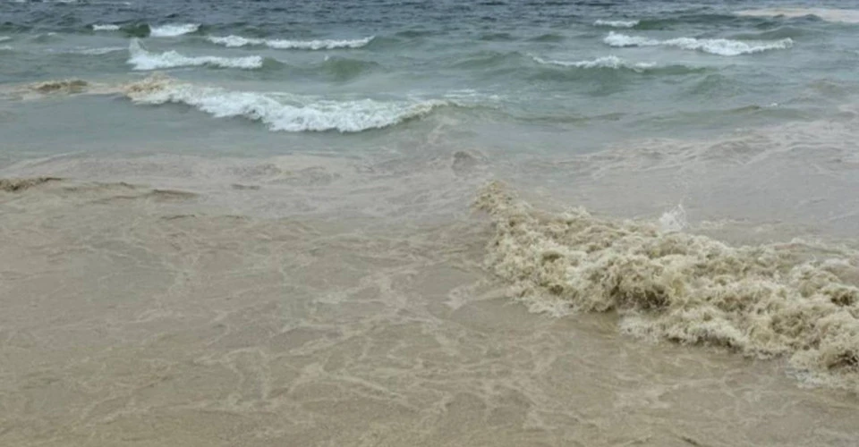 на узбережжі пляжів Одещини та в морі виявили плями, схожі на рослинну олію