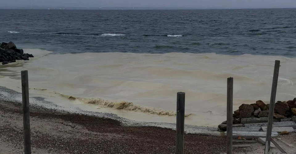 на узбережжі пляжів Одещини та в морі виявили плями, схожі на рослинну олію