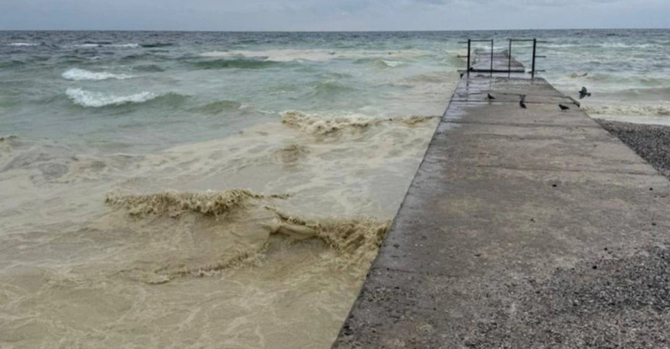 на узбережжі пляжів Одещини та в морі виявили плями, схожі на рослинну олію