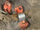 Львівські комунальники показали, як вночі в мороз ліквідовували наслідки прориву магістрального водогону