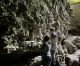 У печері "Думка" на Прикарпатті виявили унікальні для України водорості й рідкісні мохи