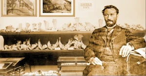 Вікентій Хвойка