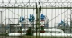Нафтопровід "Дружба"