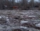 Save Пікуй про тонни сміття, які несе Тиса в Угорщину