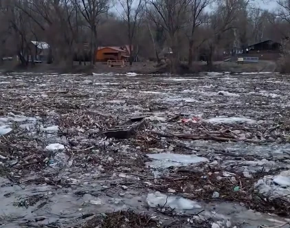 Save Пікуй про тонни сміття, які несе Тиса в Угорщину