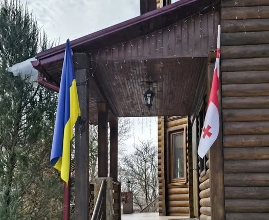 Нардепка Іванна Климпуш-Цинцадзе каже, що біля її будинку нишпорили невідомі