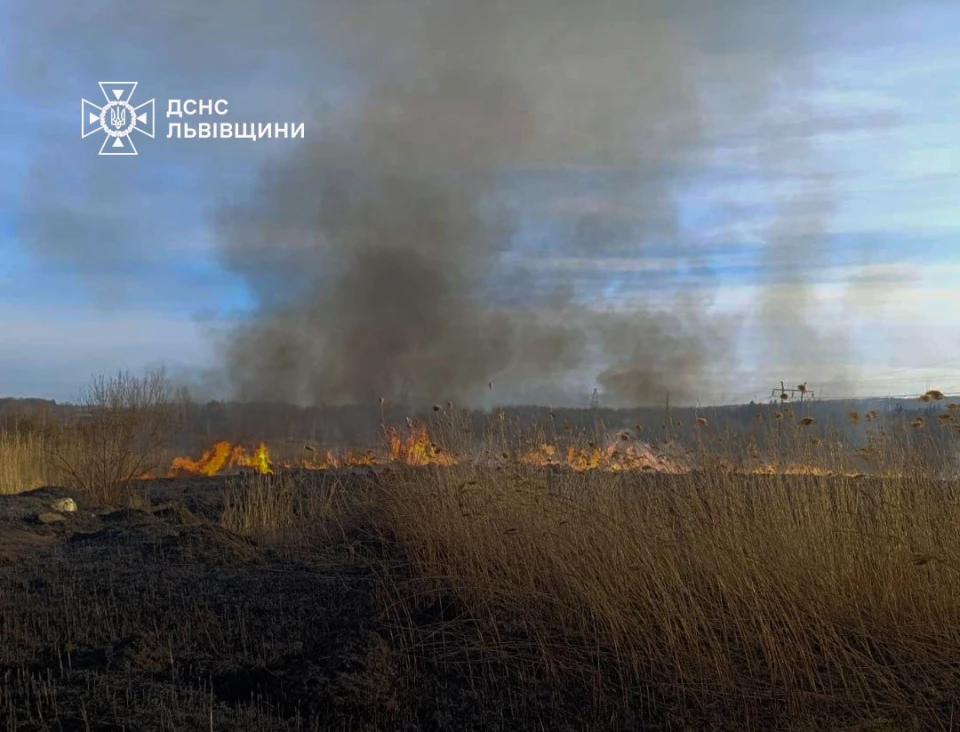 На Львівщині вогонь знищив понад 2700 кв. м сухостою