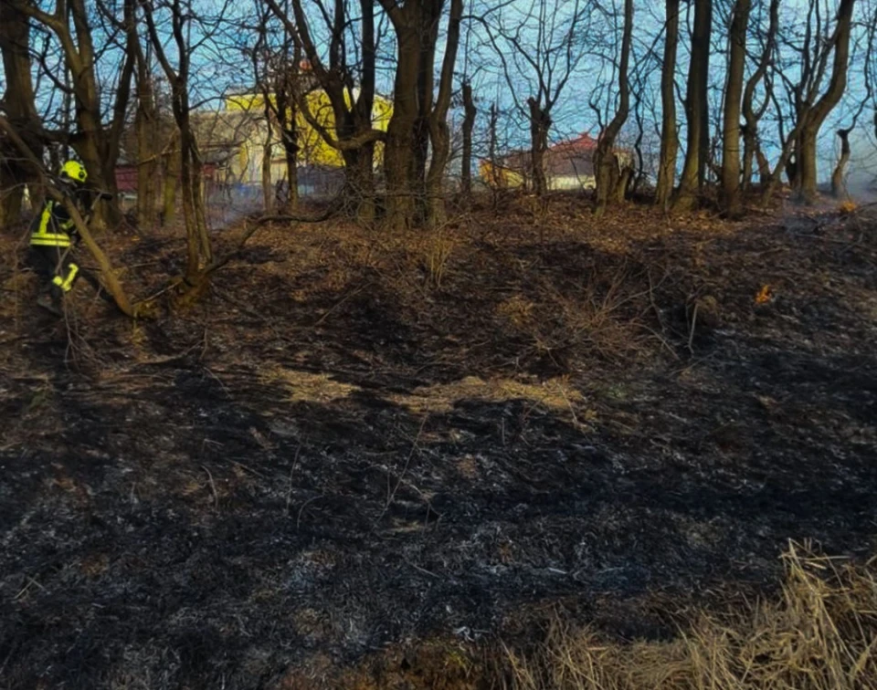 На Львівщині вогонь знищив понад 2700 кв. м сухостою